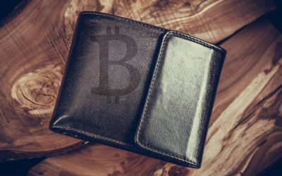Is There a Free Crypto Wallet With No Fees?